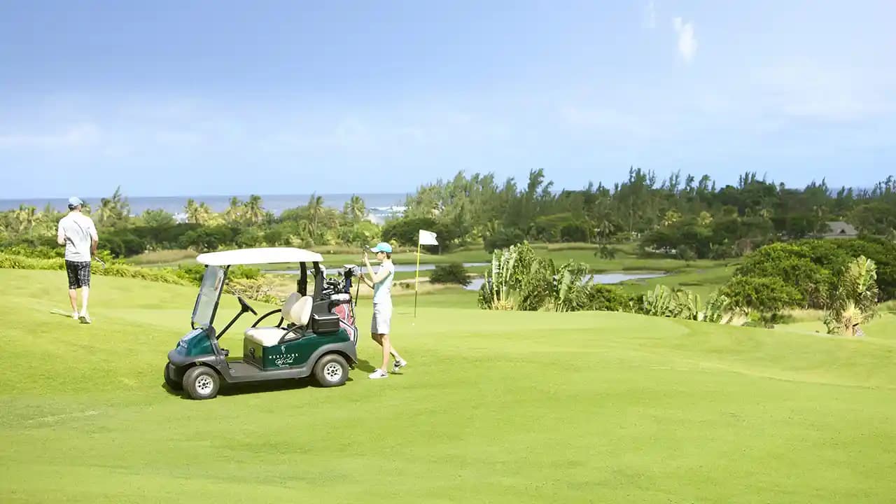 Golf 15 properties